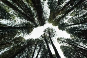 pacte-vert-europe-commission-vise-zero-pollution-air-eau-sols
