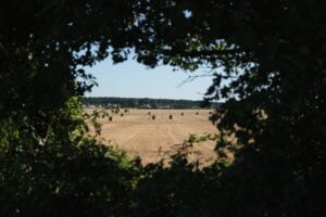 politique-agricole-commune-2023-2027-etat-lieux-concernant-volet-regional-nouvelle-aquitaine