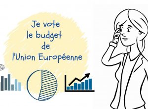 Que fait un-e eurodéputé-e